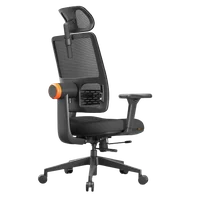 Cadeira Ergonômica Plus, Até 136Kg, Preto | INPRO