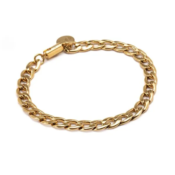 Pulseira Bruce de Aço Dourado Dourado G-GG