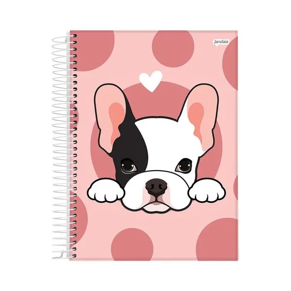Caderno Universitário Jandaia Espiral Capa Dura Le Feminino 20 Matérias 320 Folhas Modelo 2