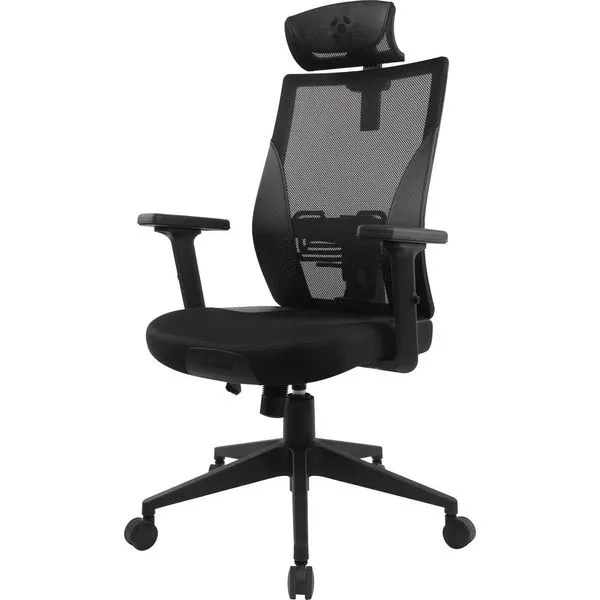 Cadeira Ergonomica Fortrek ERGO SHIELD (Preta, até 120kg, encosto, altura e braços ajustáveis) - 85033