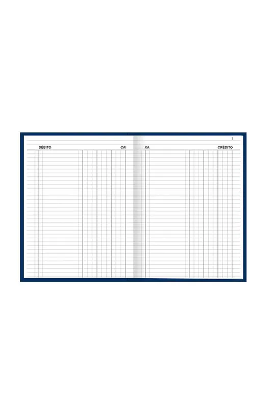 Livro Caixa Tilibra Capa Dura Grande com 100 Folhas 218x319mm