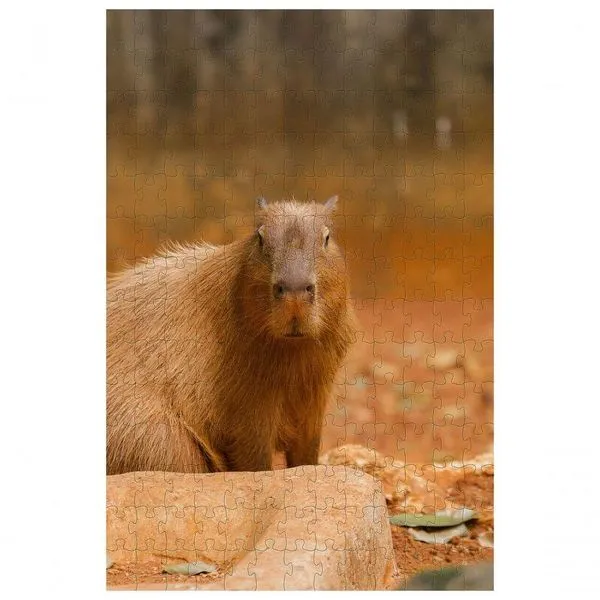 Quebra-Cabeça Capivara de 300 Peças para Diversão e Lazer Familiar