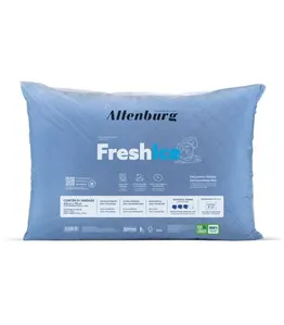 Travesseiro Fresh Ice Térmico Altenburg Branco UN / Branco