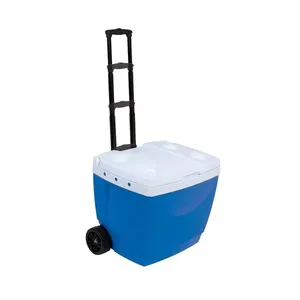 Caixa Térmica 42l Cores Com Rodinha Cooler Bebidas Mor Azul