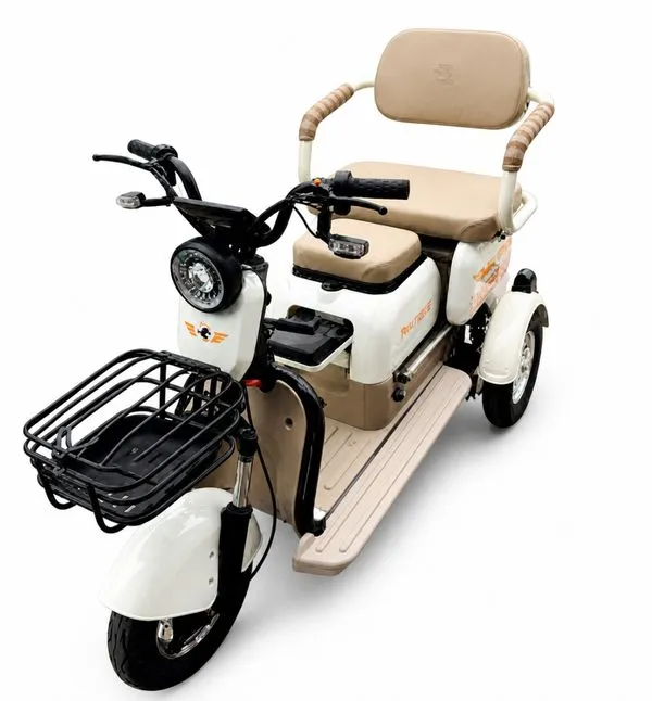 BICICLETA ELÉTRICA TRICICLO CARE BEGE COM MARROM