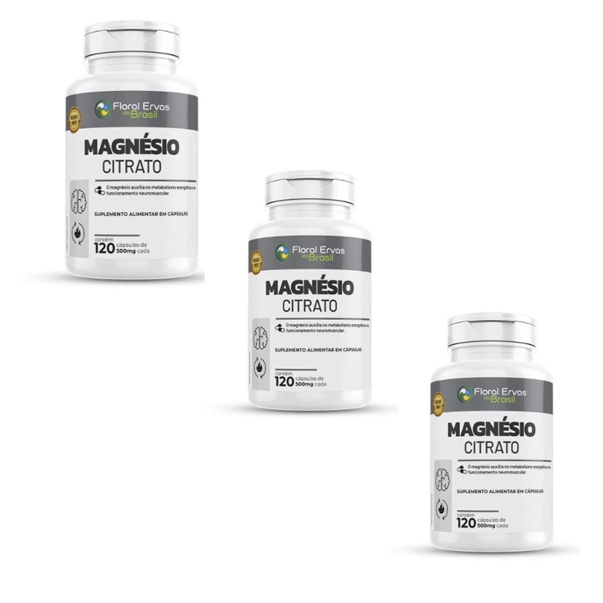 Kit 3 Magnésio Citrato 500mg 3x120 cps Floral Ervas