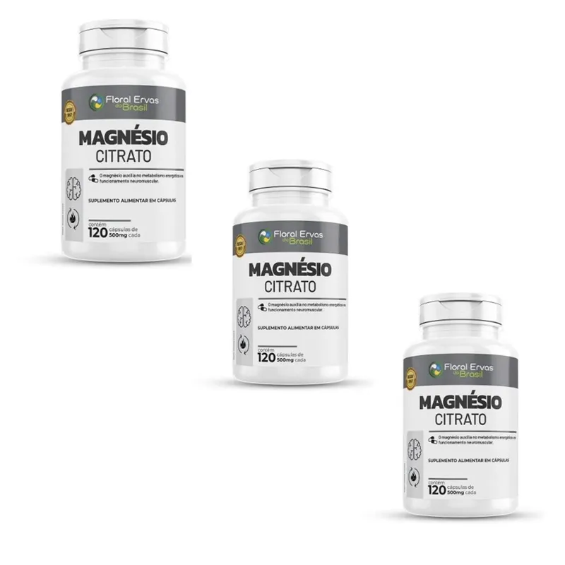 Kit 3 Magnésio Citrato 500mg 3x120 cps Floral Ervas