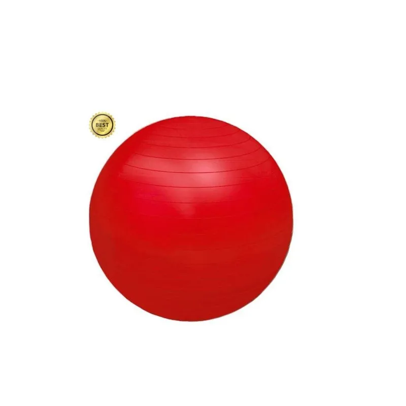 Bola de Pilates 55cm com bomba Yoga/Exercícios/Fitness