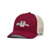 Boné Masculino Under Armour Blitzing U Roxo