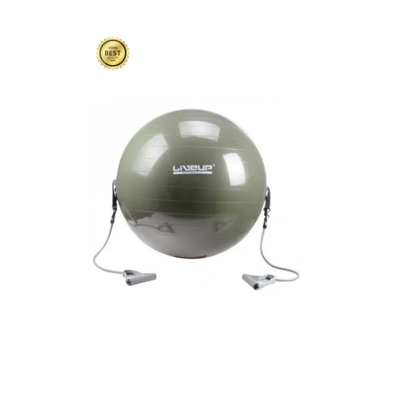 Bola de Pilates 65cm com bomba e extensores Yoga/Exercícios/Fitness