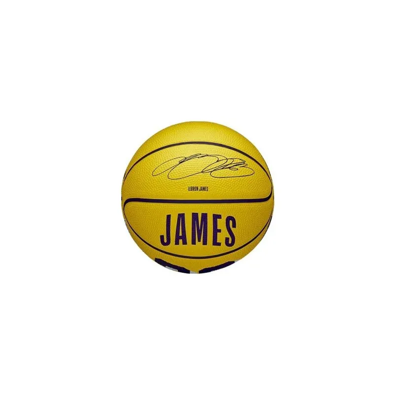 Mini Bola de Basquete NBA Icon Lebron James