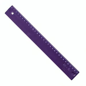 Régua 30cm Pop Roxa