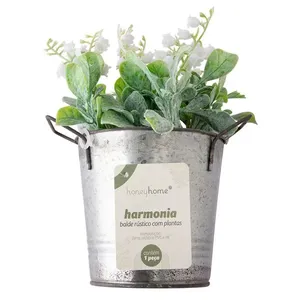 Vaso Rústico Planta Espada Harmonia Ferro Pvc 8,5x8,5x20cm LM1761 - honeyhome