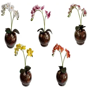 Vaso Aquário Com Orquídea Sortida Vidro 35x28x14cm DF222 - Dila Flores