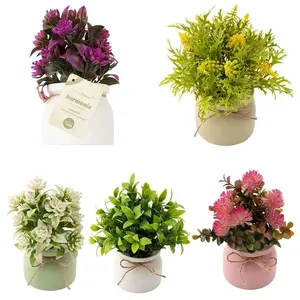 Vaso com Plantas Sortidas Harmonia Plástico PP e PVC 9,5x9,5x20cm LM3724 - honeyhome