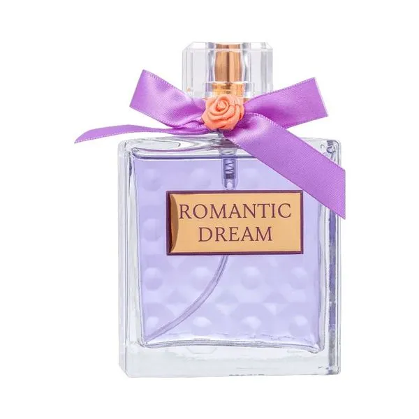 Perfume Romantic Dream Feminino Eau de Parfum Oriental Floral 100ML Paris Elysees Perfume Romantic Dream Feminino Eau de Parfum 100ML Paris Elysees