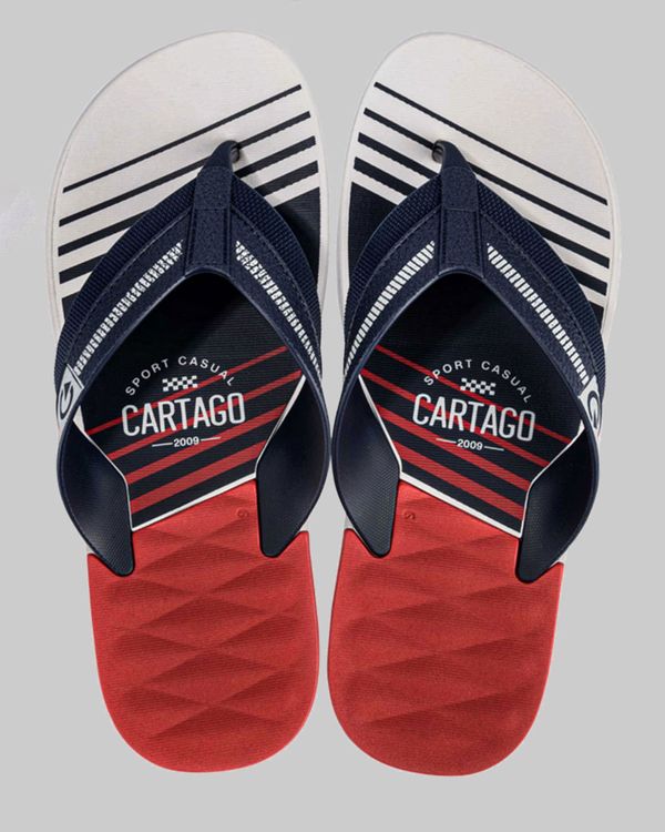 Chinelo Masculino Cartago Estampa Cinza 39