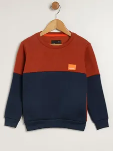 Moletom Infantil Para Menino - TELHA 2