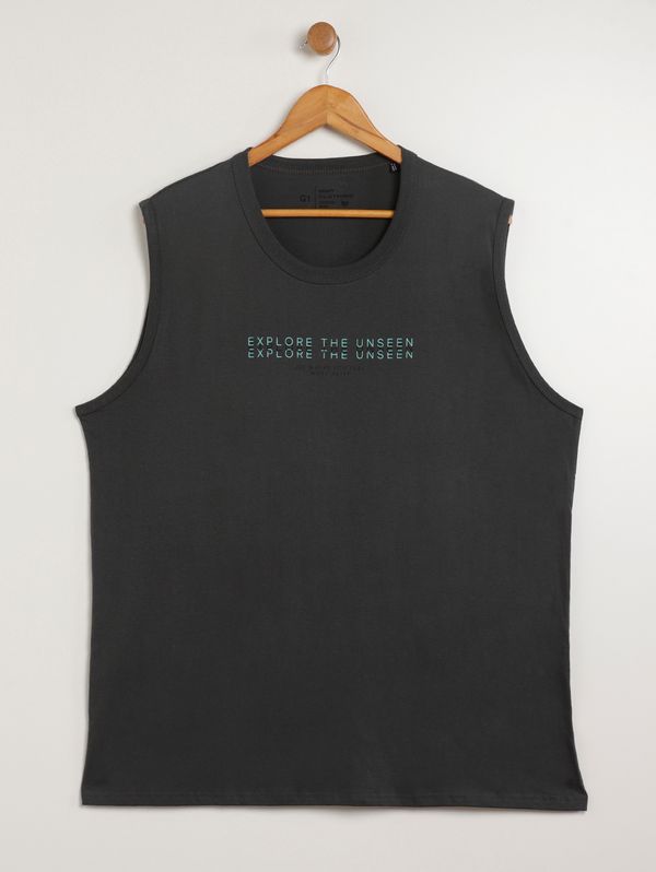 Camiseta Regata Plus Size Masculina CHUMBO G3