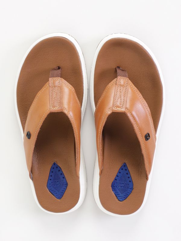 Chinelo Casual Dubai Pegada Masculino BEGE 39