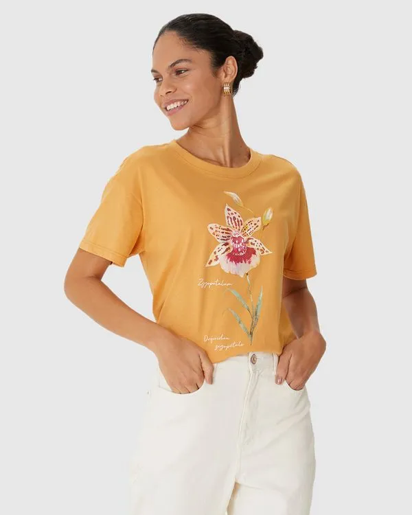 Camiseta Feminina Estampa Orquídea Zygopetalum Em Algodão Amarelo - GG