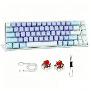 Teclado Mecânico Gamer Mk26 60% Switch Red Rgb 67 Teclas Usb , Inglês Us Roxo