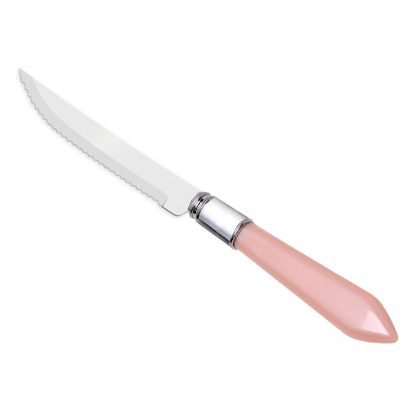Jogo de Facas Para Churrasco Mother Lyor, 06 Peças, Lâminas Aço Inox, Rosa/Prata - 7663