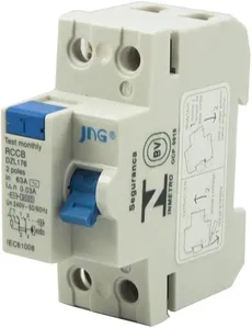 Interruptor Diferencial DR Bipolar 63A FG12 30mA JNG Interruptor Diferencial DR Bipolar 63A 30mA Jng