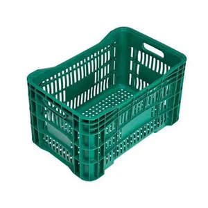 Caixa Plástica Vazada 50,5L até 20kg Verde Caixaplast Caixa Plástica Vazada 50,5L até 20KG Verde