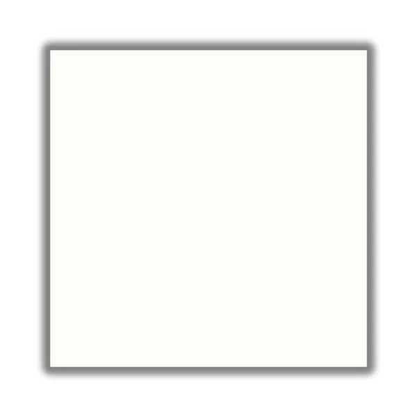 Piso Branco Clássico Retificado Brilhante Branco 54x54cm 2,60m2 (Lote 190)