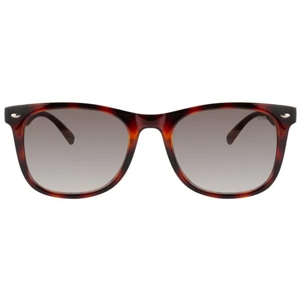 Óculos de Sol Dnz Armação SDNZ34241C3 Unissex Quadrado Demi Marrom Injetado