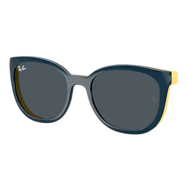 Armação de Óculos de Grau Ray-Ban Junior RY1631C Unissex Pantos Acetato Azul