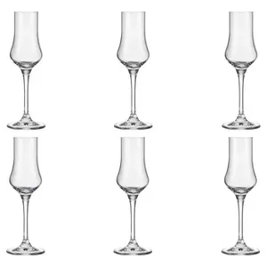Jogo de 6 Taças de Cristal Para Grappa 100 Ml Classic