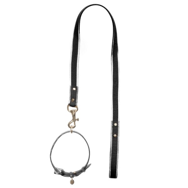Guia + Coleira Glitter Preto PJ20047 47CM