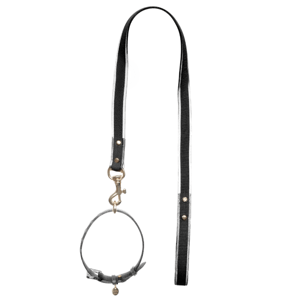 Guia + Coleira Glitter Preto PJ20047 40CM