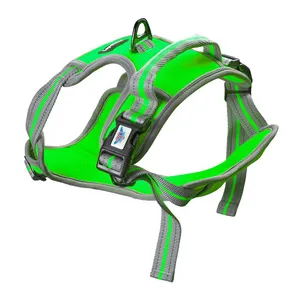 Peitoral Lopetudos Cloud1, P, Verde, LP-PTCD-PGN
