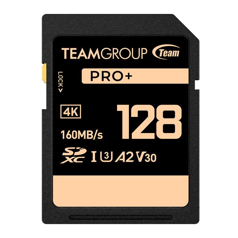 Cartao de Memoria Team Group V30 PRO+, 128GB, SDXC, UHS-I, TPPSDX128GIA2V3001