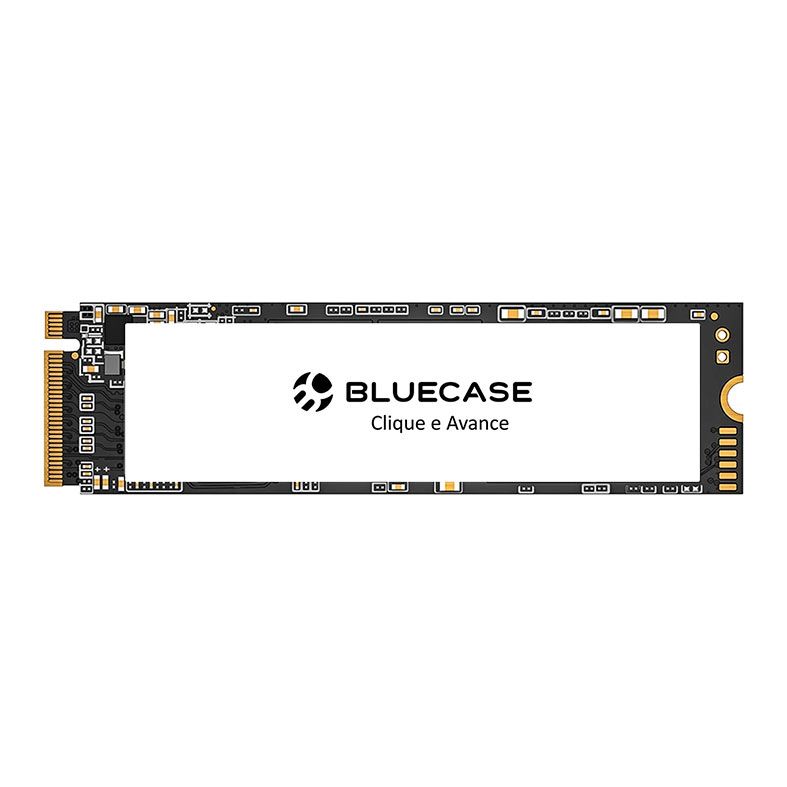 SSD BlueCase Horizon V2 NVMe 256GB