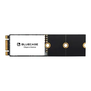 SSD BlueCase Horizon 256GB, M.2 2280, Leitura 560MB/s, Gravacao 500MB/s, BS2M10-256G