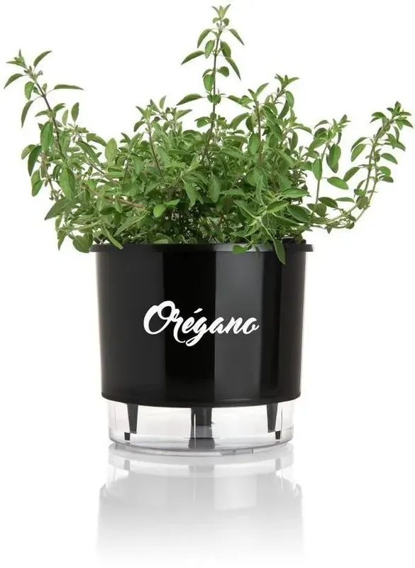 Vaso Autoirrigável Número 3 Gourmet Raiz Orégano Preto 16x14,3cm