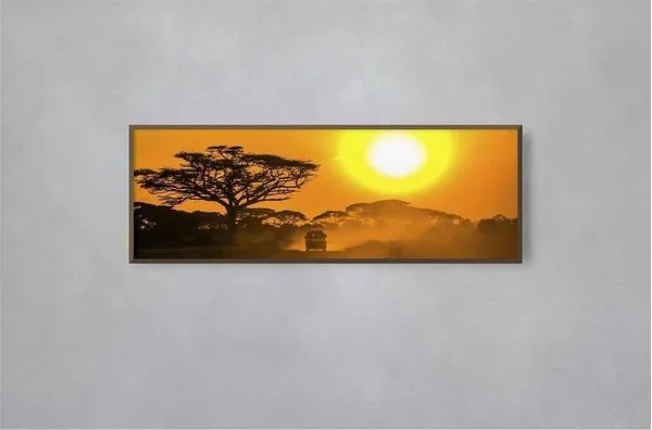 Quadro Decorativo Illuminato Safari