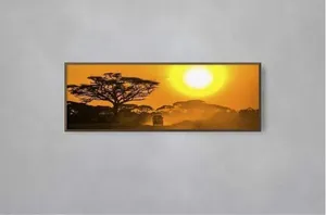 Quadro Decorativo Illuminato Safari