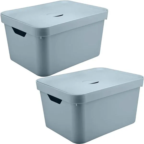 2 Caixas Organizadoras 32L Organizadores Brinquedo Closet OU
