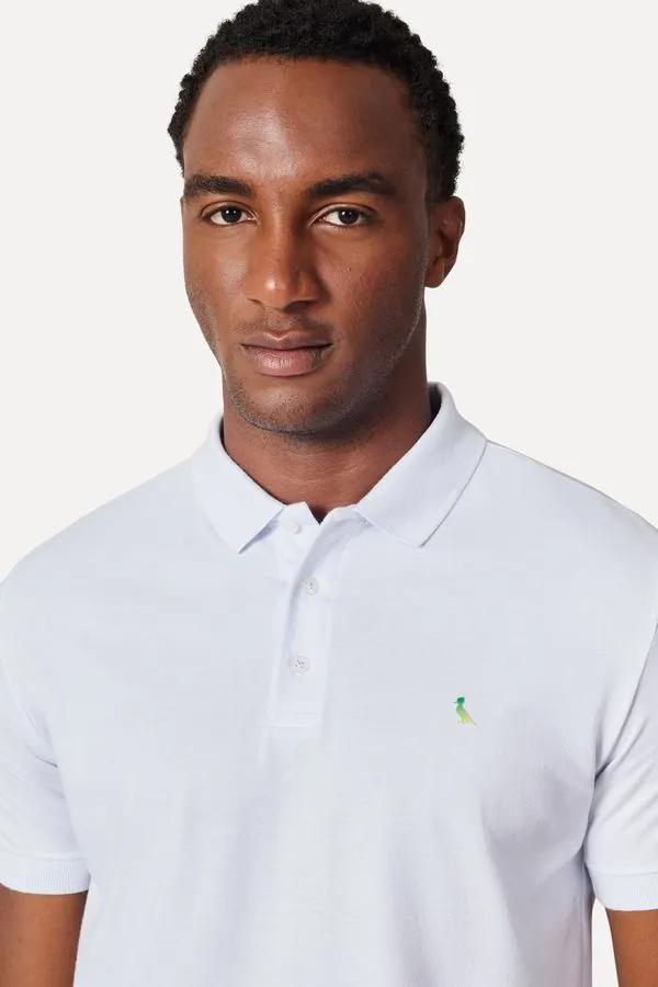 Polo Pica Pau Degrade Verde Branco - P