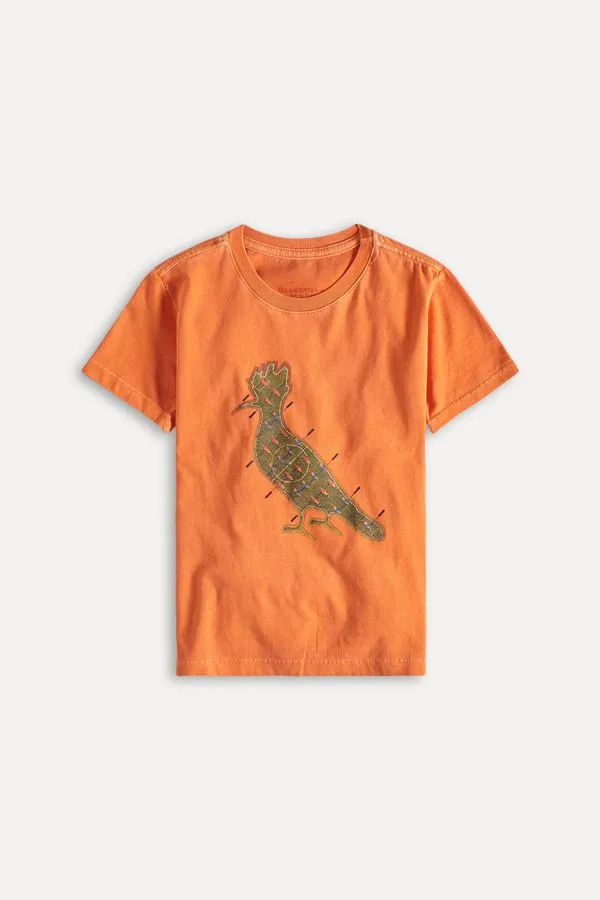Camiseta Mini Sm Pica Pau Toto Coral - 06