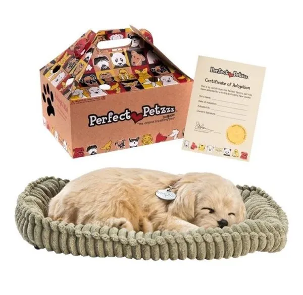 PELUCIA AFETIVA CACHORRO GOLDEN RETRIVER PERFECT PETEZZZ - IMEX