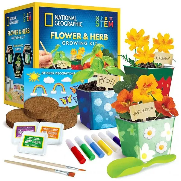 Kit de Jardinagem de Flores e Ervas – Brinquedo Educativo STEM, Cultive em Casa com Potes Decoráveis, Presente Criativo, National Geographic