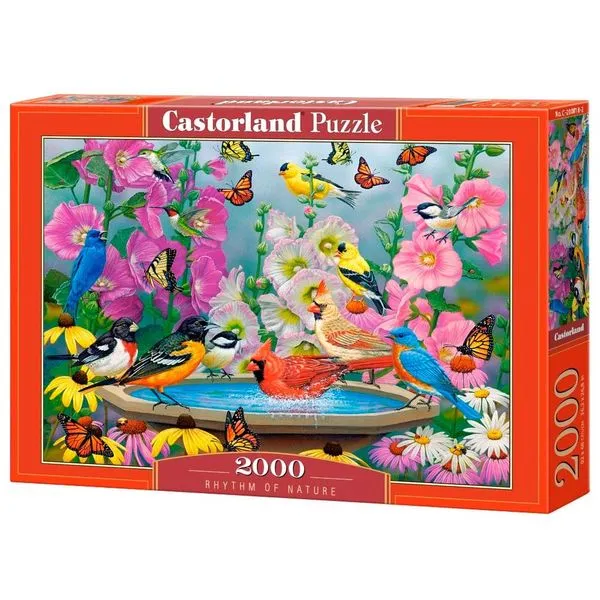 Puzzle 2000 Peças Pássaros na Fonte - Castorland Importado 2008182