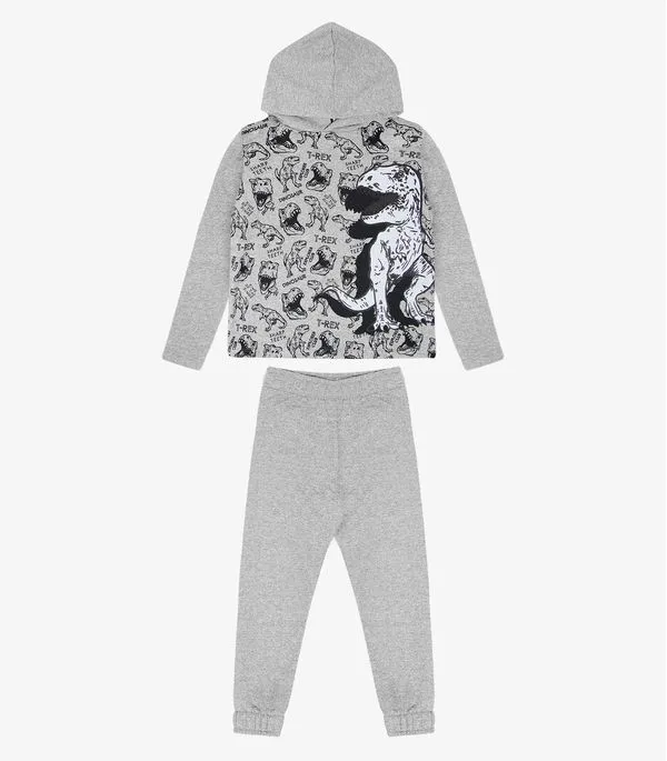 Conjunto Infantil Menino Dino Select Cinza 8
