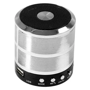 Mini Caixa De Som Speaker Com Bluetooth Usb Ws-887 Prata